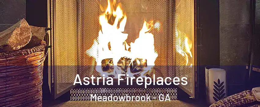 Astria Fireplaces Meadowbrook - GA