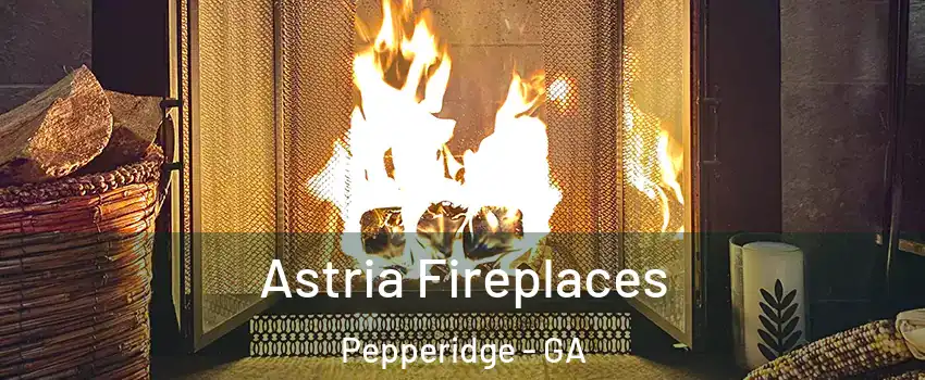 Astria Fireplaces Pepperidge - GA