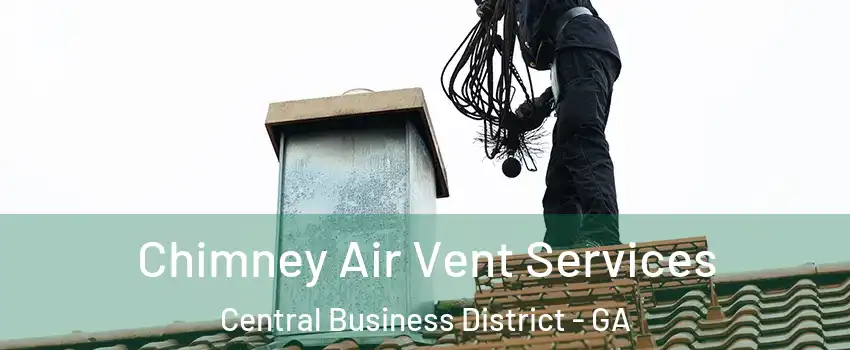 Chimney Air Vent Services Central Business District - GA