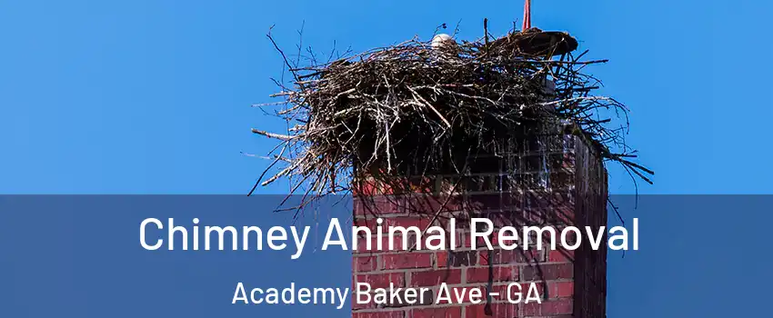 Chimney Animal Removal Academy Baker Ave - GA