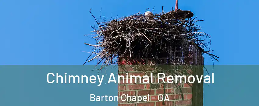 Chimney Animal Removal Barton Chapel - GA