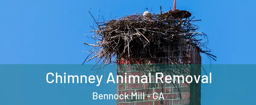Chimney Animal Removal Bennock Mill - GA