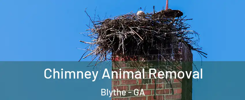 Chimney Animal Removal Blythe - GA