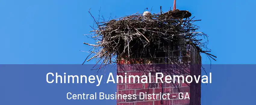 Chimney Animal Removal Central Business District - GA