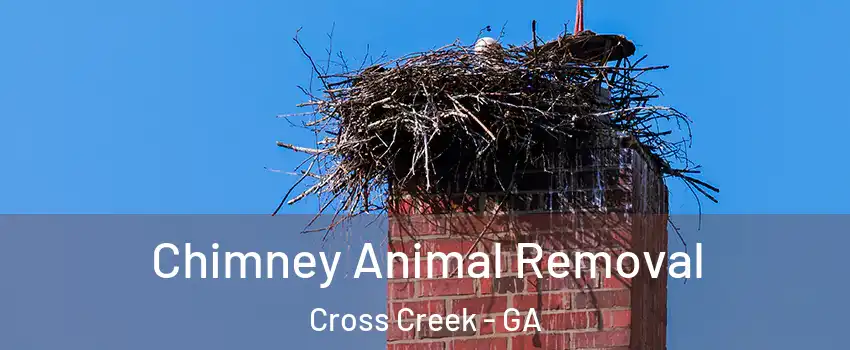 Chimney Animal Removal Cross Creek - GA