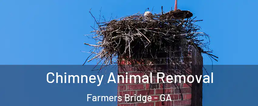 Chimney Animal Removal Farmers Bridge - GA