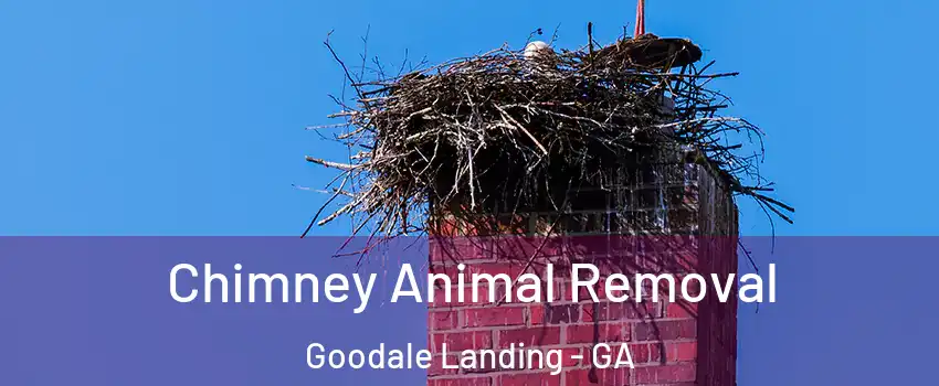 Chimney Animal Removal Goodale Landing - GA