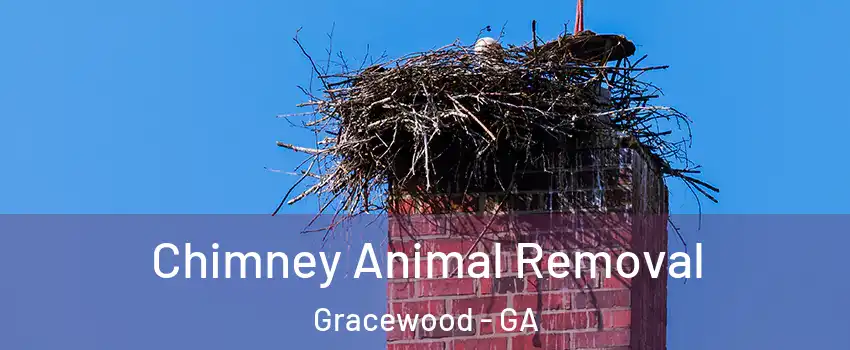 Chimney Animal Removal Gracewood - GA