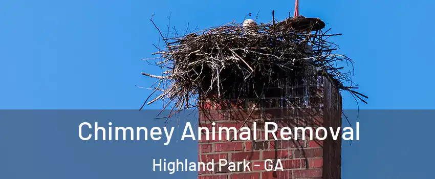 Chimney Animal Removal Highland Park - GA