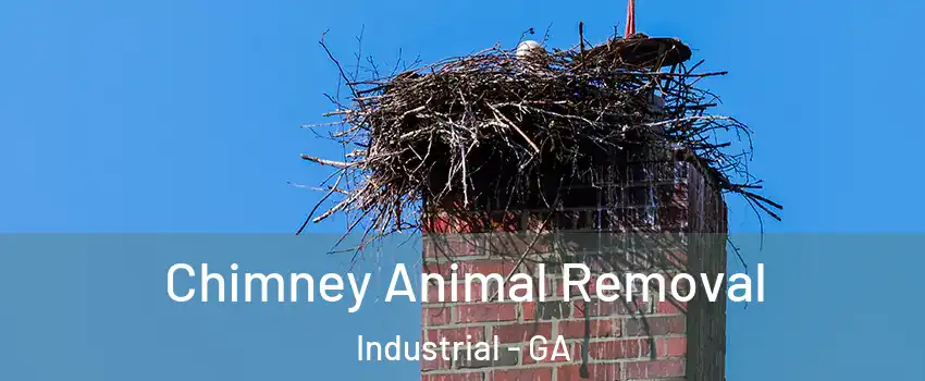 Chimney Animal Removal Industrial - GA