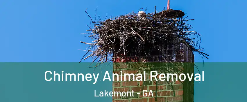 Chimney Animal Removal Lakemont - GA