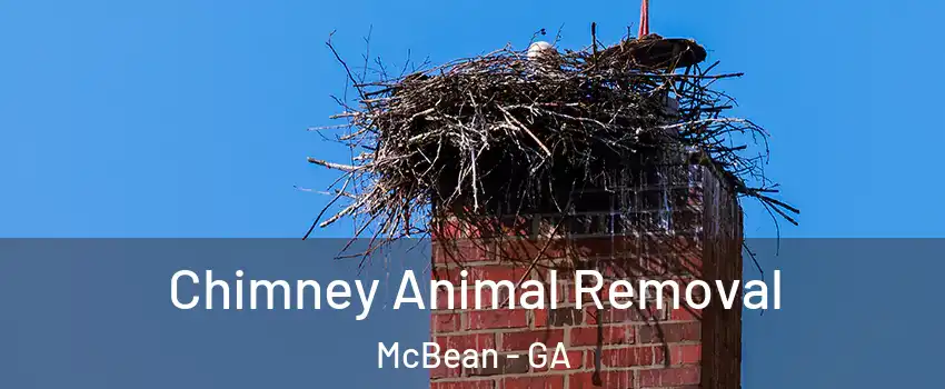Chimney Animal Removal McBean - GA