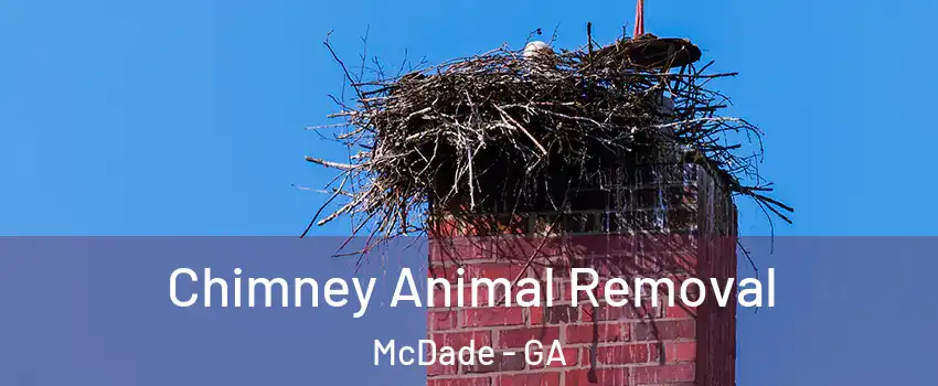 Chimney Animal Removal McDade - GA