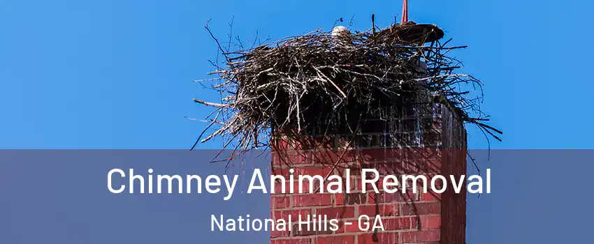 Chimney Animal Removal National Hills - GA