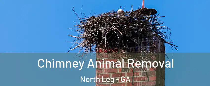 Chimney Animal Removal North Leg - GA