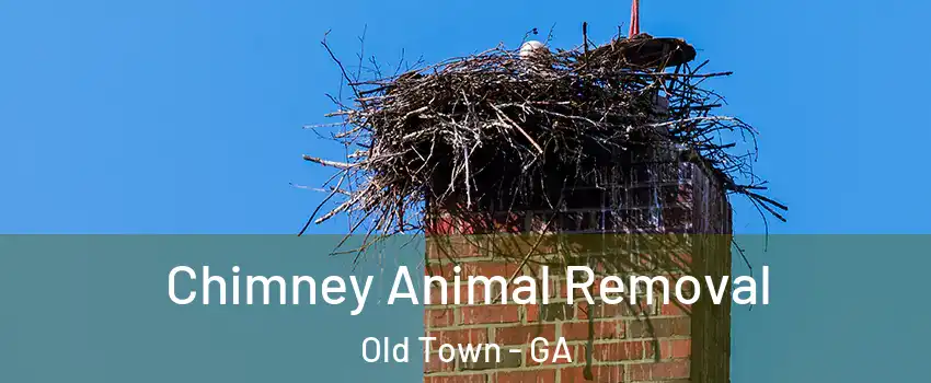 Chimney Animal Removal Old Town - GA