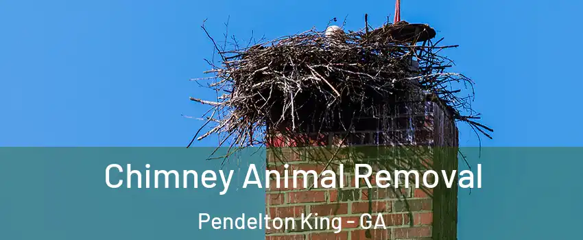 Chimney Animal Removal Pendelton King - GA