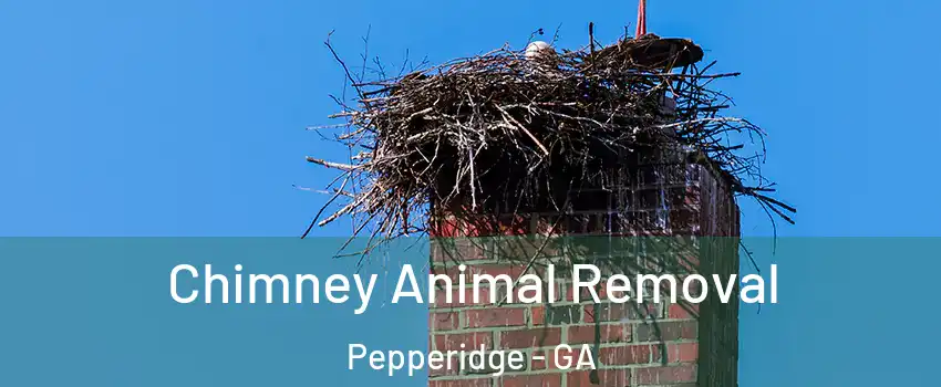 Chimney Animal Removal Pepperidge - GA