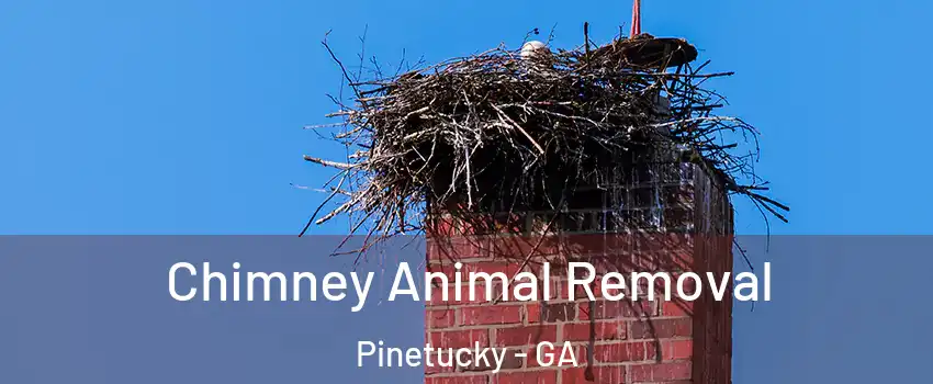 Chimney Animal Removal Pinetucky - GA