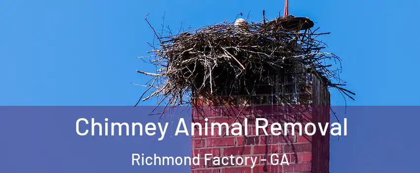 Chimney Animal Removal Richmond Factory - GA