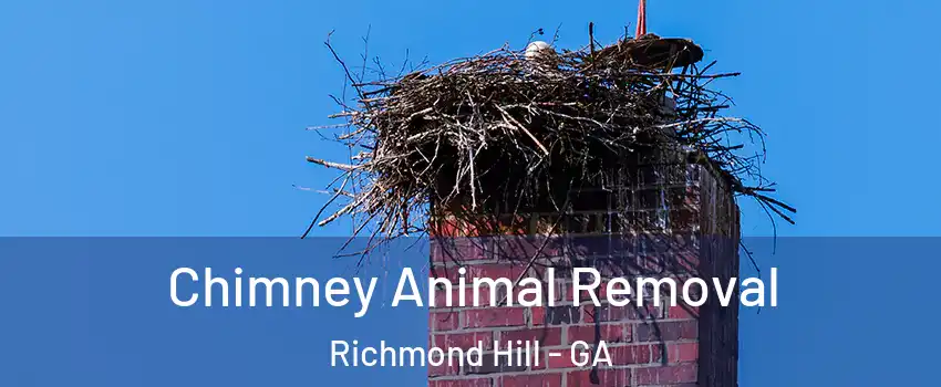 Chimney Animal Removal Richmond Hill - GA