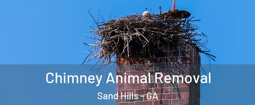 Chimney Animal Removal Sand Hills - GA