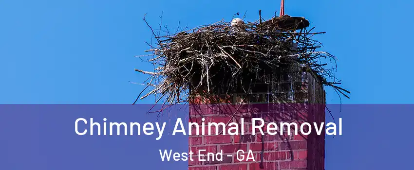 Chimney Animal Removal West End - GA