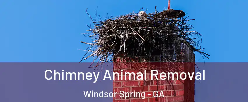 Chimney Animal Removal Windsor Spring - GA