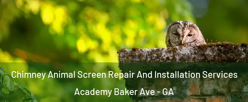 Chimney Animal Screen Repair And Installation Services Academy Baker Ave - GA