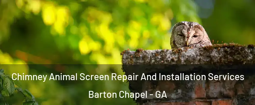 Chimney Animal Screen Repair And Installation Services Barton Chapel - GA