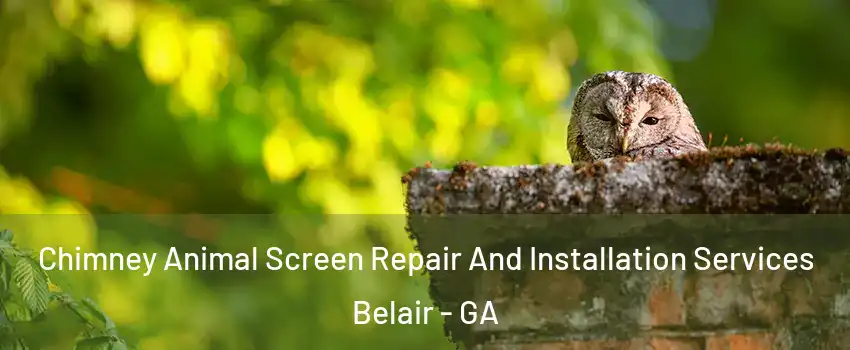 Chimney Animal Screen Repair And Installation Services Belair - GA