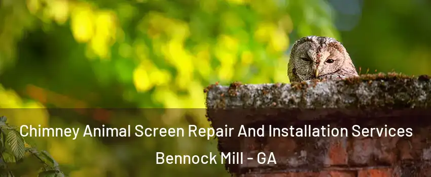 Chimney Animal Screen Repair And Installation Services Bennock Mill - GA