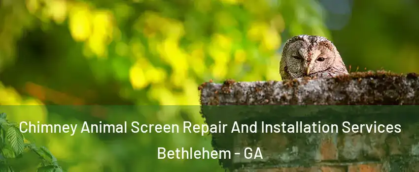 Chimney Animal Screen Repair And Installation Services Bethlehem - GA