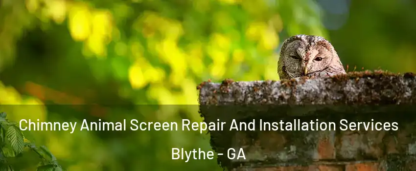 Chimney Animal Screen Repair And Installation Services Blythe - GA