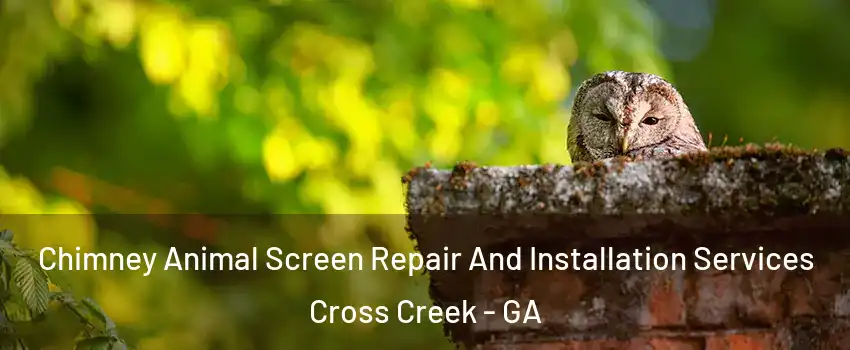 Chimney Animal Screen Repair And Installation Services Cross Creek - GA