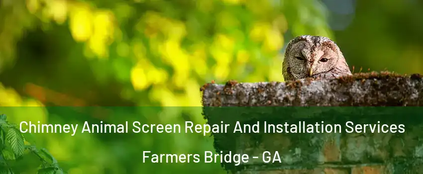 Chimney Animal Screen Repair And Installation Services Farmers Bridge - GA