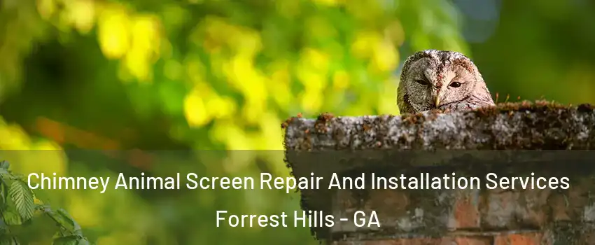 Chimney Animal Screen Repair And Installation Services Forrest Hills - GA