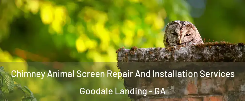 Chimney Animal Screen Repair And Installation Services Goodale Landing - GA