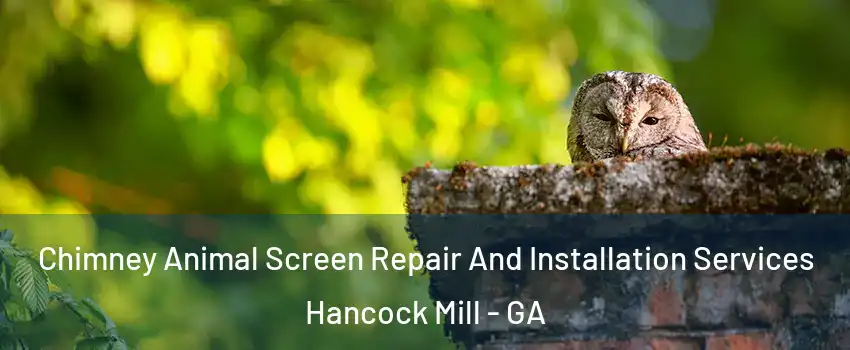 Chimney Animal Screen Repair And Installation Services Hancock Mill - GA