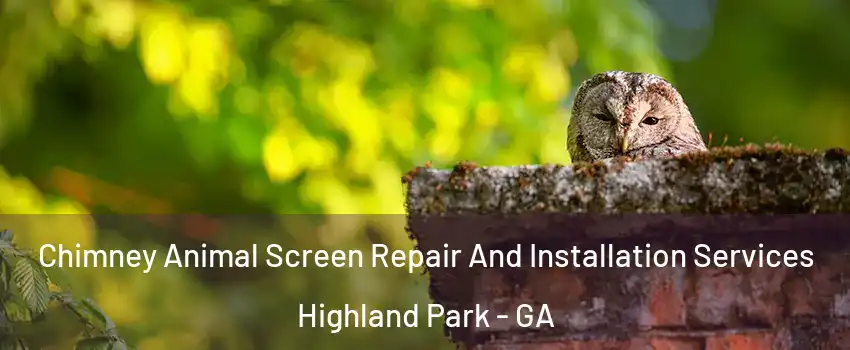 Chimney Animal Screen Repair And Installation Services Highland Park - GA