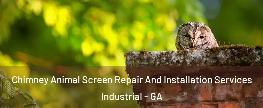 Chimney Animal Screen Repair And Installation Services Industrial - GA