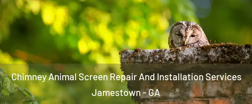 Chimney Animal Screen Repair And Installation Services Jamestown - GA