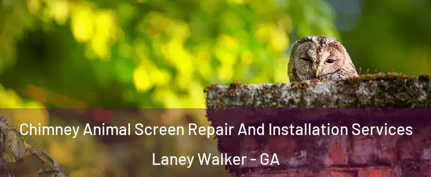 Chimney Animal Screen Repair And Installation Services Laney Walker - GA