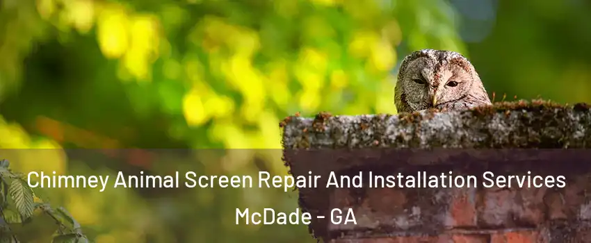 Chimney Animal Screen Repair And Installation Services McDade - GA