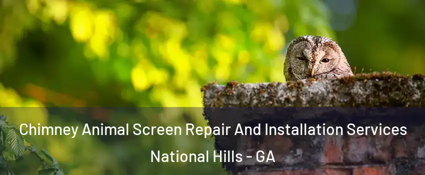 Chimney Animal Screen Repair And Installation Services National Hills - GA