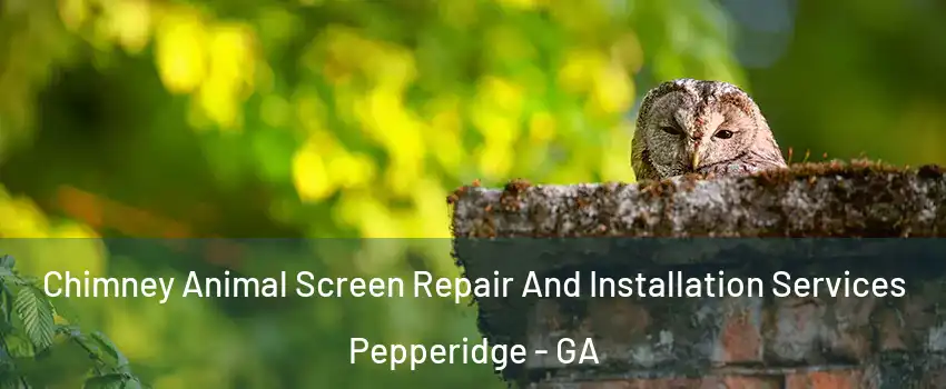 Chimney Animal Screen Repair And Installation Services Pepperidge - GA