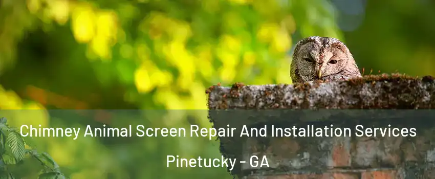 Chimney Animal Screen Repair And Installation Services Pinetucky - GA