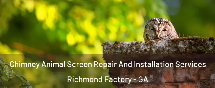 Chimney Animal Screen Repair And Installation Services Richmond Factory - GA