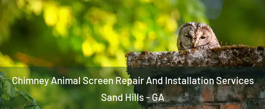 Chimney Animal Screen Repair And Installation Services Sand Hills - GA