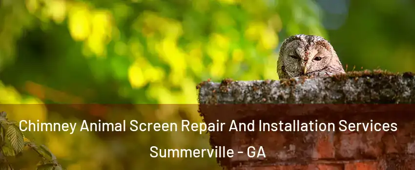 Chimney Animal Screen Repair And Installation Services Summerville - GA